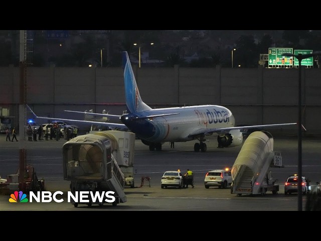 Netanyahu says pilot stabbed fellow pilot in apparent attempt to crash plane