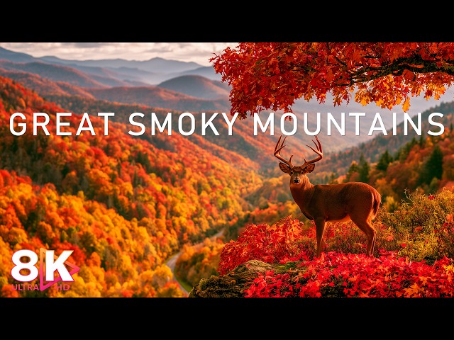 Great Smoky Mountains Autumn 8K UHD – Luminous Blue Ridge Fall Foliage & Panoramas HDR