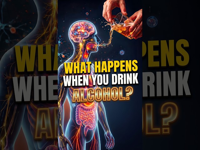What Happens to Your Body When You Drink Alcohol 🍷 | Shocking 3D Breakdown | #Body #shorts #science
