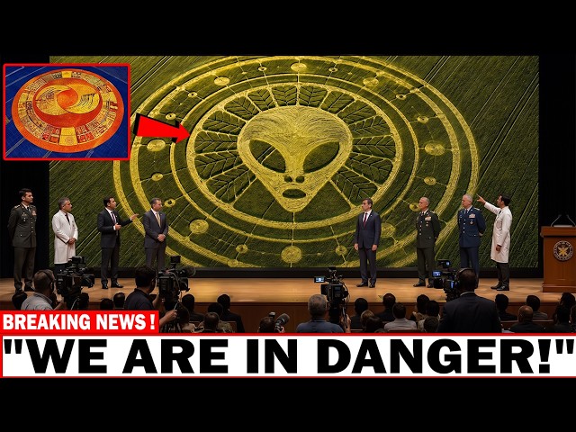 Every Crop Circle Ever Found Was Fed Into AI — The Timeline It Revealed Sparked Panic!
