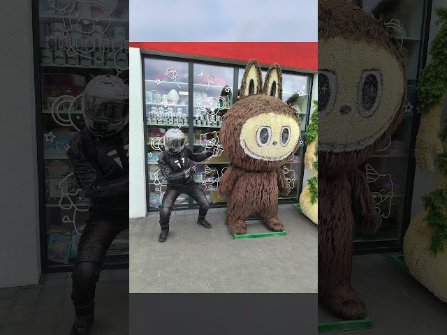 Wielkie Labubu 😮