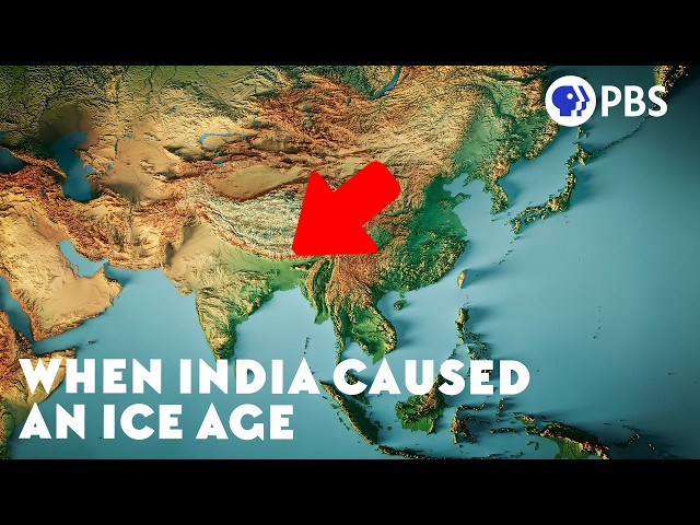 The Biggest Extinction You’ve Never Heard Of