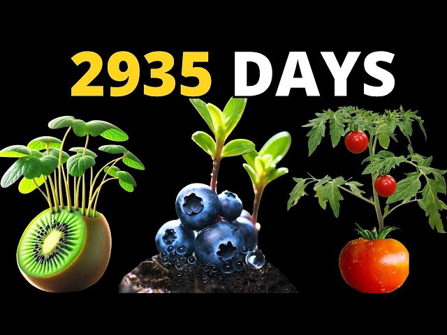 I filmed 2935 DAYS for this TIMELAPSE!