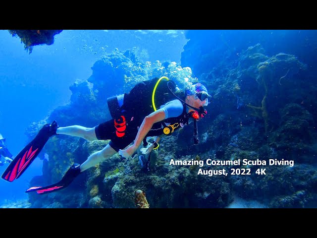 Amazing Cozumel Scuba Diving August, 2022 in 4K