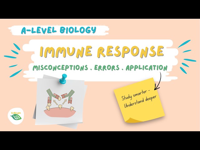 Immunity: Misconceptions Errors Application A level Biology #immuneresponse #monoclonalantibodies