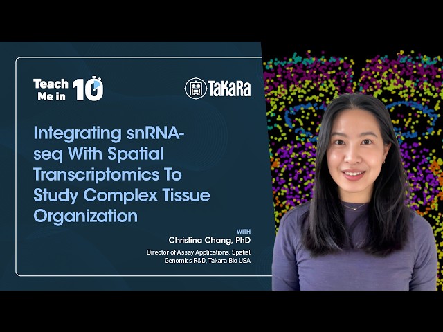 Integrating snRNA-seq With Spatial Transcriptomics To Study Complex Tissue Organization