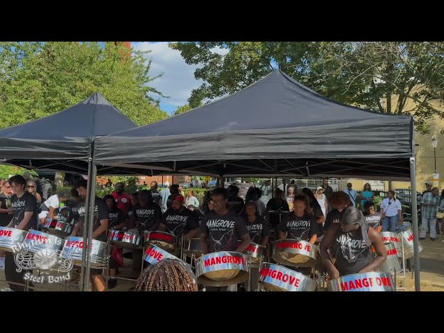 Satta Massagana (steelpan cover) - Mangrove stage side