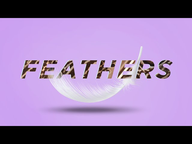 How do Feather Patterns Form? | Interview with Richard Prum