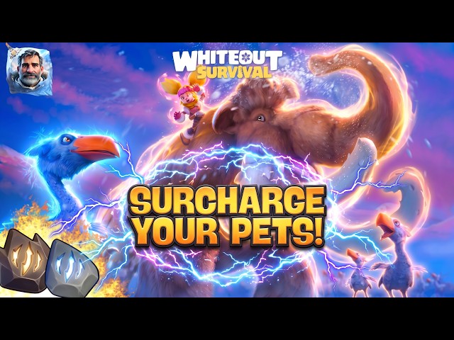 (Updated) Refining Pets ULTIMATE Guide