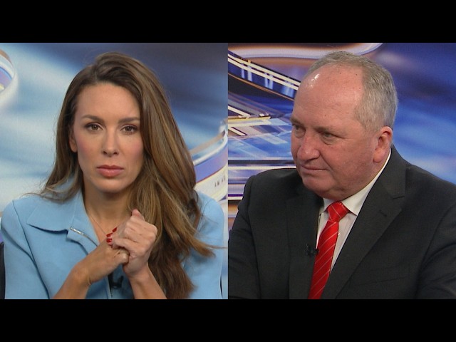 TV host probes One Nation’s ‘reductions within composition’ immigration policy