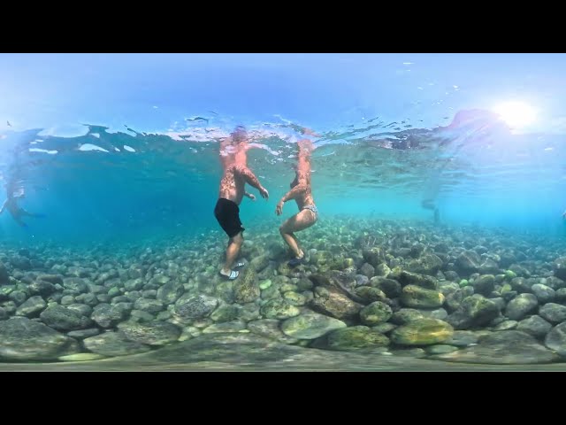 What’s Really Swimming Around Me Underwater? | 360° Sea Adventure 8K