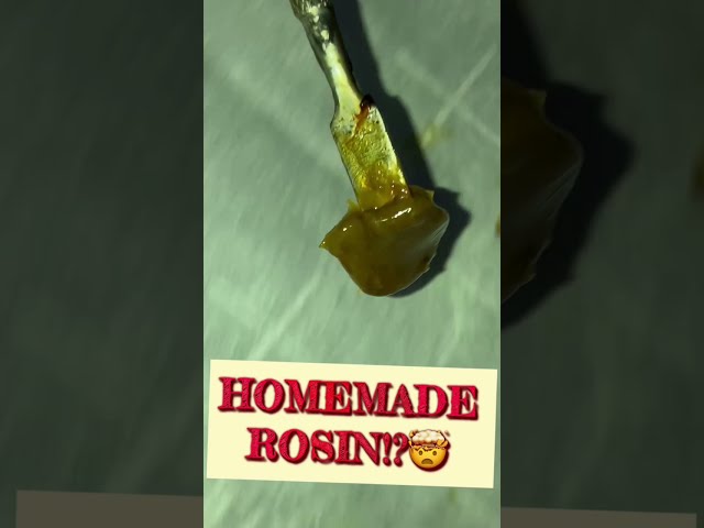 DIY (Affordable) ROSIN AT HOME! Make Your Own Dabs Safely