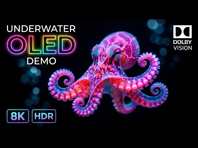 Underwater World OLED Demo HDR 4k|8k|12k Video Ultra HD Dolby Vision™ 60fps