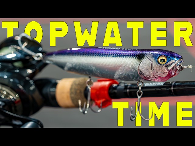 September Bass Fishing Tricks! How To Catch Bass Around Cover And In Open Water!