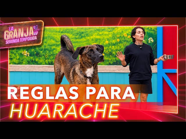 Kunno shares the RULES for FEEDING Huarache at La Granja VIP