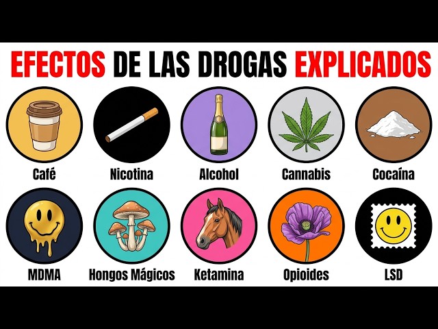 Drug Effects Explained: What They Really Do to Your Brain