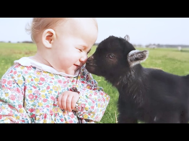 Cutest Baby and Animal Moments Around the World Showing Pure Love 👶🐾❤️