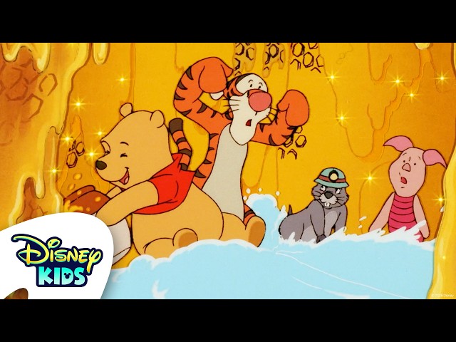 The New Adventures of Winnie the Pooh Station 🍯❤️ | Full Episodes✨