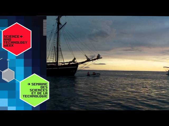 National Science and Technology Week Champion | Shane
