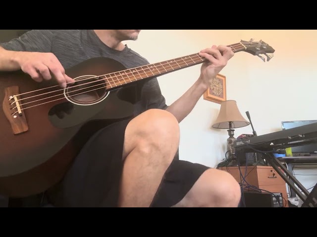 Acoustic Mitchel Bass jam