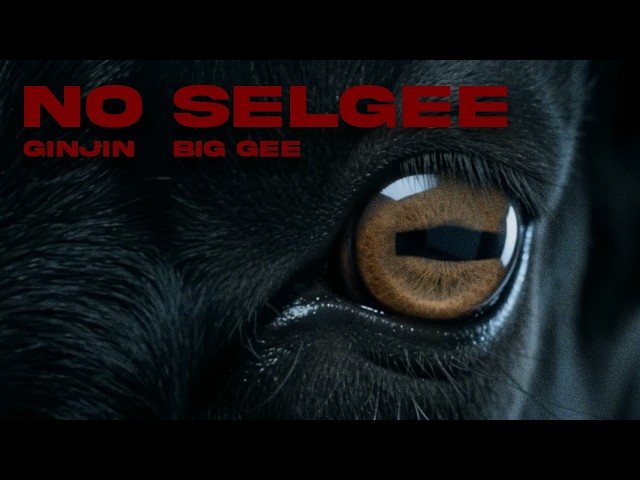Ginjin ft. Big Gee - No Selgee ( Official Music Video )