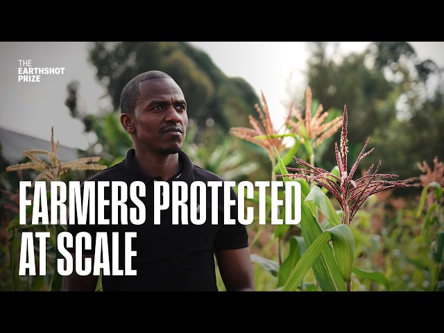 The insurance protecting 24 million farmers from climate risk