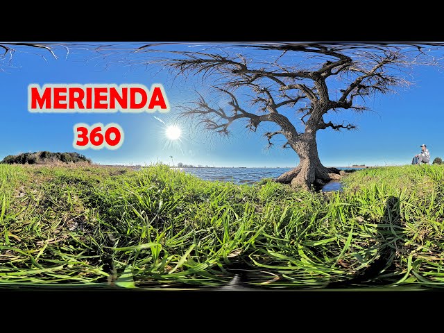 Break 360° #calm #nature #outdoors #tree #walk #shorts #lofi #wildlife #water #4k #sky #timelapse