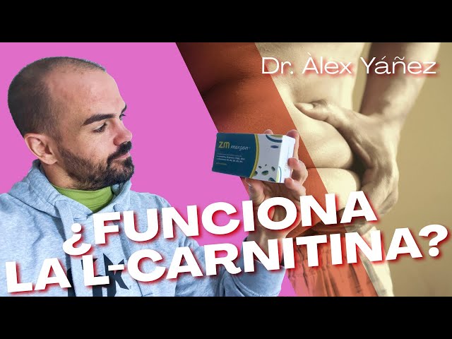 FUNCIONA LA L-CARNITINA? por ALEX YANEZ