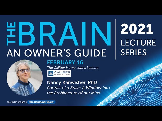 Portrait of a Brain: A Window into the Architecture of Our Mind