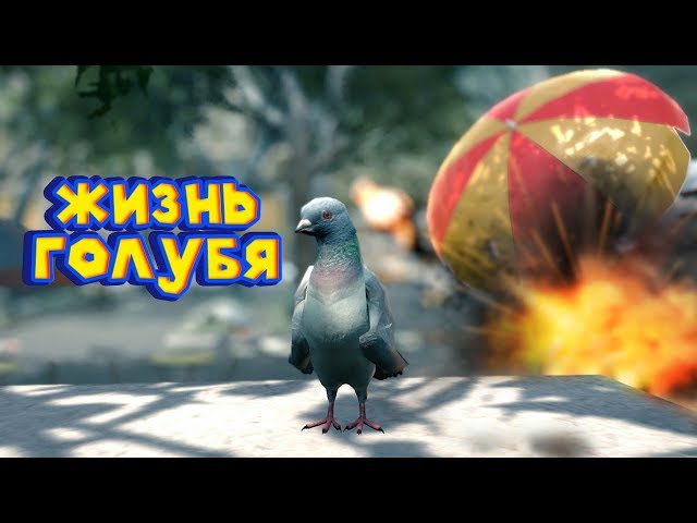 Pigeon Simulator