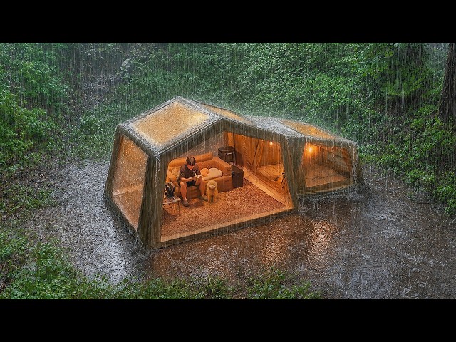 7 Days of Heavy Rain Camping with My Dog . Binge Watching ASMR