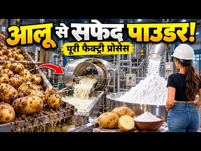 आलू से सफेद पाउडर कैसे बनता है? 😱 पूरी फैक्ट्री प्रोसेस | How Potato Starch Is Made