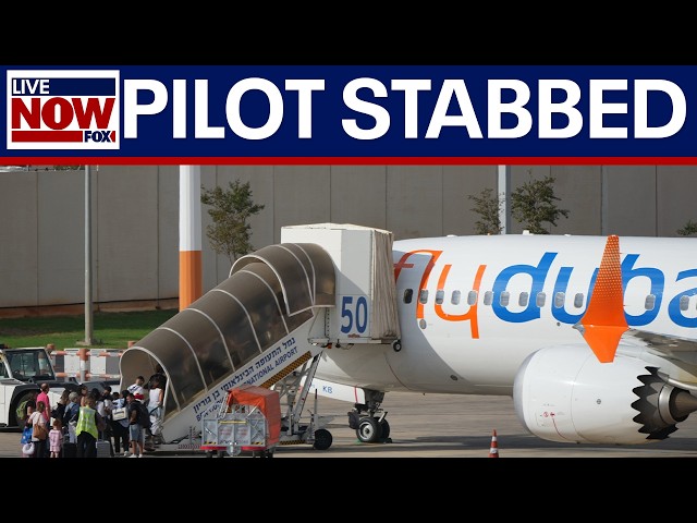 Netanyahu: Pilot tried to crash plane full of Israeli's after stabbing other pilot