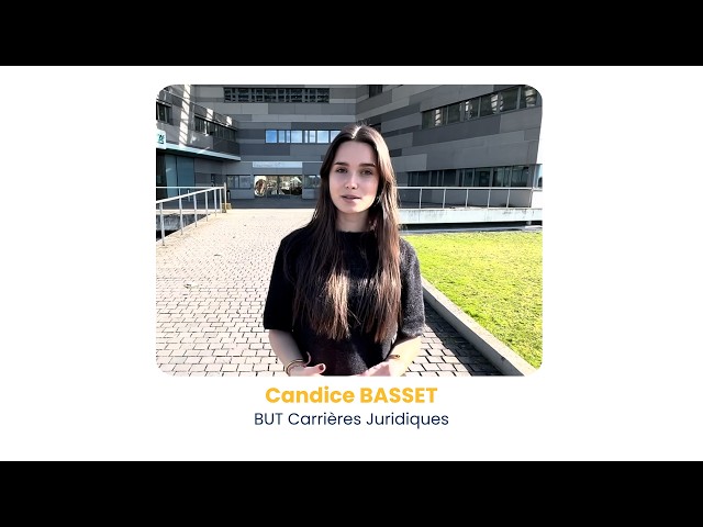 Pitch your work-study program for 2026: IUT Rodez, Toulouse Capitole University
