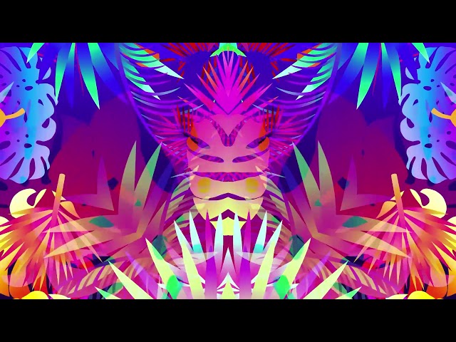 tropical colourful loop