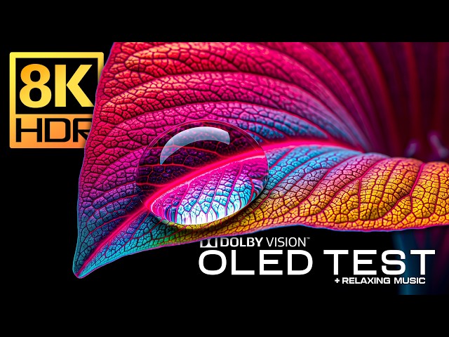 Massive OLED Display Test Perfection | 8K HDR Dolby Vision 60FPS | 4K Video/8K Video ULTRA HD TV
