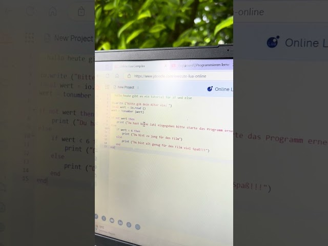 Lua programmieren für Anfänger #4