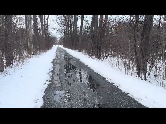 Story Time & Polar Vortex