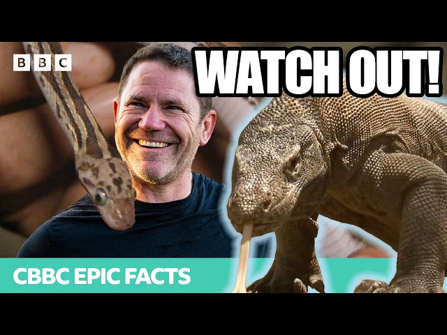 The BEST ANIMAL ENCOUNTERS of all time (PART 2) | Dragons, Squid, Snakes and Fish! | Deadly 60