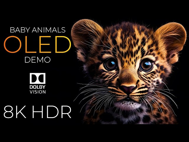Baby Animals OLED Demo HDR 8K Ultra HD Dolby Vision™ 60fps