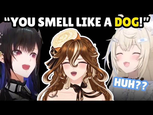 Hololive Getting Roasted for 10 Minutes Straight (I Can't Stop Laughing)