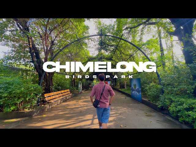 Staying at Chimelong Hotel with tigers and their very own animal island + Chimelong Birds Park