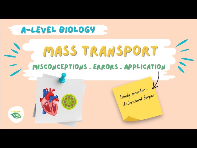 Mass transport: Errors Misconceptions Application A level Biology #cardiaccycle #haemoglobin
