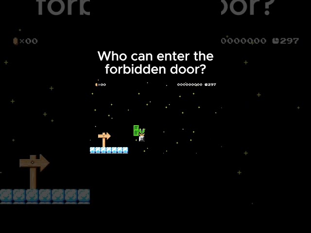 Who Can Enter the Forbidden Door in Super Mario Maker 2 #mario #nintendoswitch #nintendo