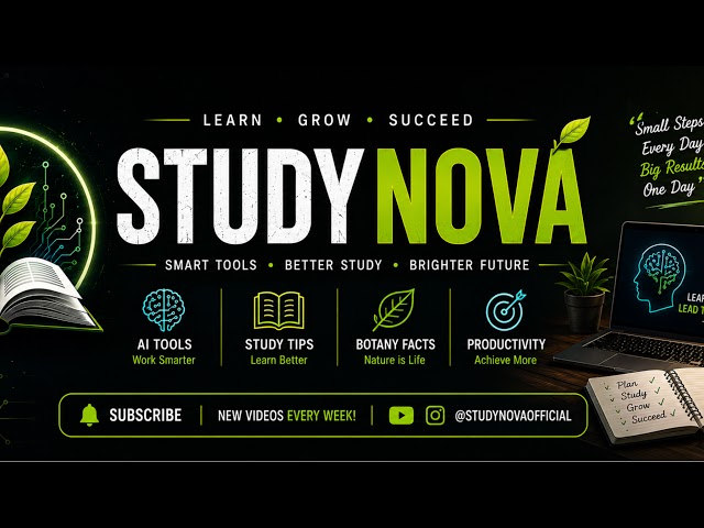 StudyNova Live Stream