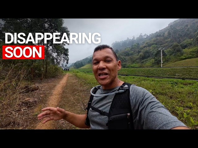 A Simple Run - A Big Adventure