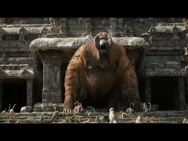 The Jungle Book (2016) Wrath of the King Lou