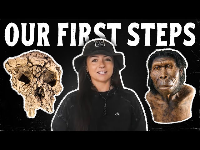 The First Hominins (That We Know Of) | The Evolution of Us I Lindsay Nikole