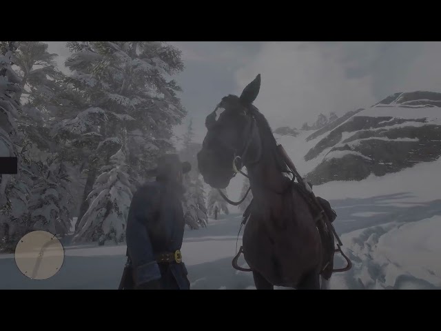 Red Dead Redemption 2 PC [i7-11700K + RTX 3070-Ti]