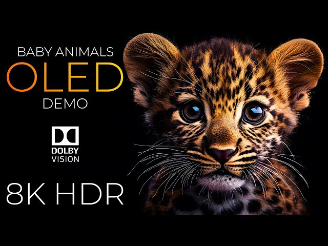 Baby Animals OLED Demo HDR 8K Ultra HD Dolby Vision™ 60fps